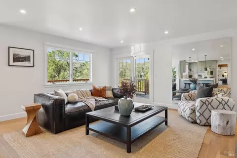 Living - 431 Wellesley Ave, Mill Valley, CA 94941 photo 12 of 13
