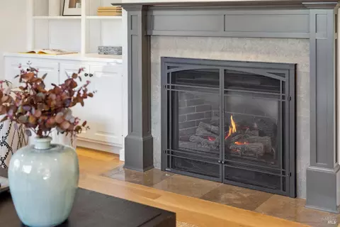 Living - 431 Wellesley Ave, Mill Valley, CA 94941 photo 9 of 13
