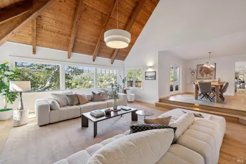 Living - 431 Wellesley Ave, Mill Valley, CA 94941 photo 7 of 13