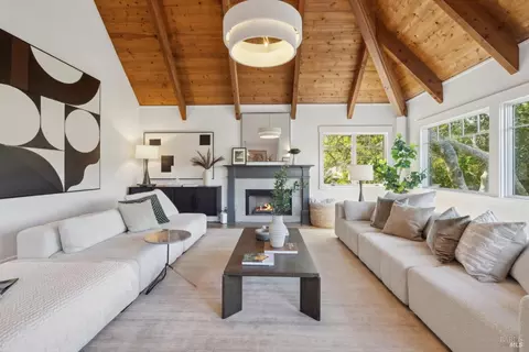 Living - 431 Wellesley Ave, Mill Valley, CA 94941 photo 3 of 13