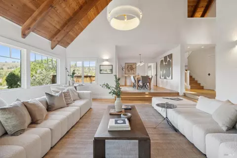 Living - 431 Wellesley Ave, Mill Valley, CA 94941 photo 8 of 13
