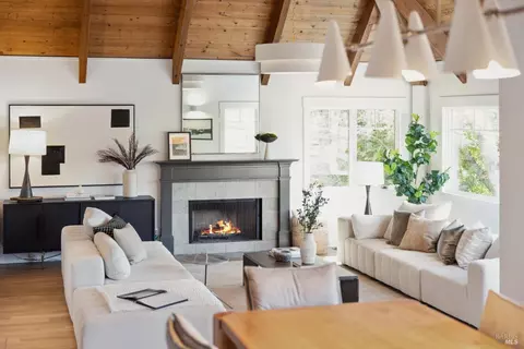 Living - 431 Wellesley Ave, Mill Valley, CA 94941 photo 2 of 13