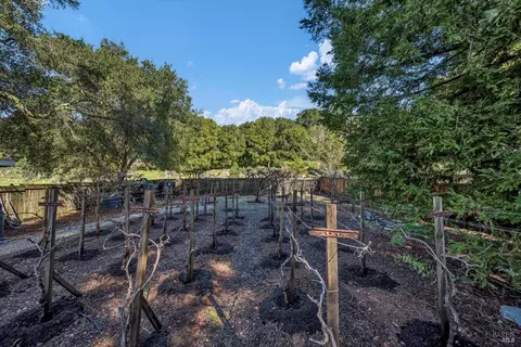 441 Tee Ct, Healdsburg, CA 95448 photo 49