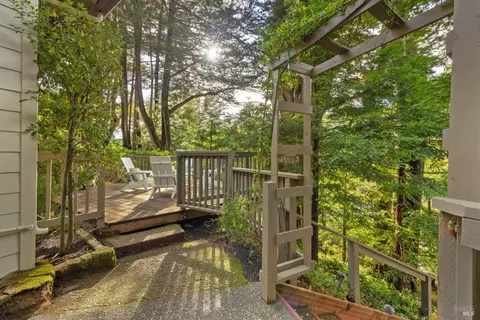 325 Pine Hill Rd, Mill Valley, CA 94941 photo 23