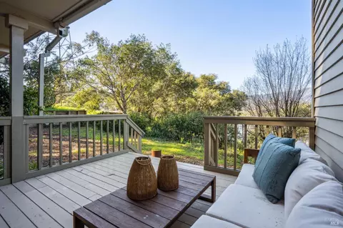 84 Eucalyptus Knoll St, Mill Valley, CA 94941 photo 52