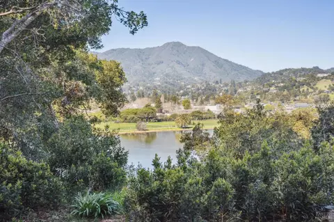 84 Eucalyptus Knoll St, Mill Valley, CA 94941 photo 44