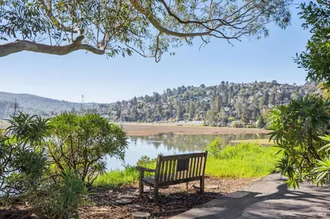 84 Eucalyptus Knoll St, Mill Valley, CA 94941 photo 55