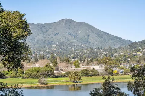 84 Eucalyptus Knoll St, Mill Valley, CA 94941 photo 46