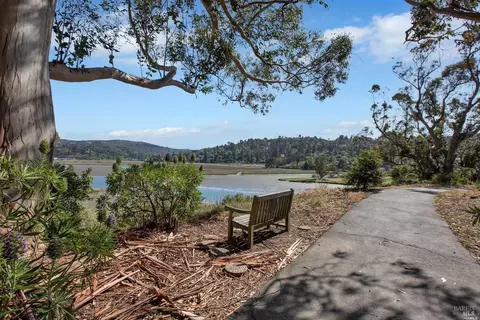 84 Eucalyptus Knoll St, Mill Valley, CA 94941 photo 67