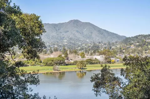 84 Eucalyptus Knoll St, Mill Valley, CA 94941 photo 45
