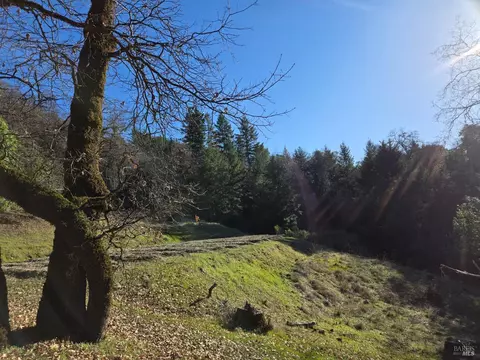 Exterior - 14950 Ridgeview Rd, Willits, CA 95490 photo 18 of 23