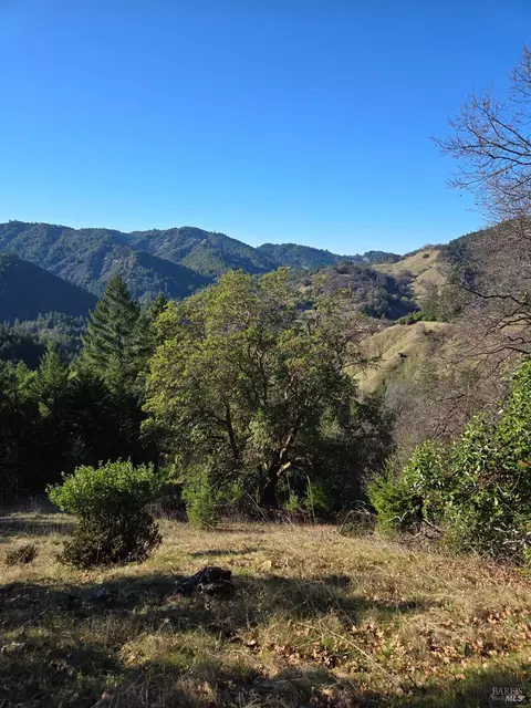Other - 14950 Ridgeview Rd, Willits, CA 95490 photo 10 of 17