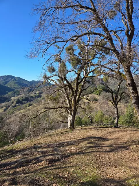 Other - 14950 Ridgeview Rd, Willits, CA 95490 photo 12 of 17