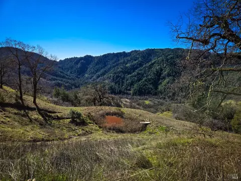 View/Area - 14950 Ridgeview Rd, Willits, CA 95490 photo 2 of 3