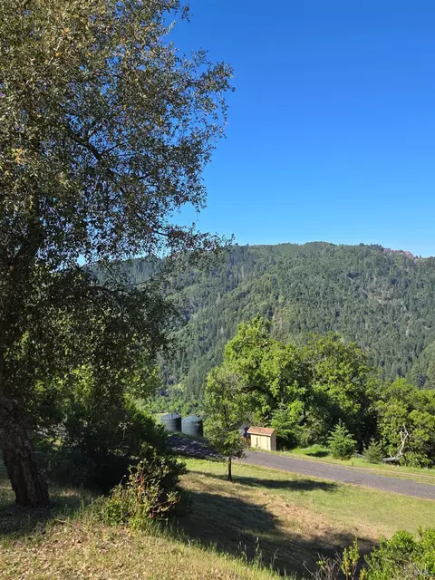 Exterior - 14950 Ridgeview Rd, Willits, CA 95490 photo 21 of 23