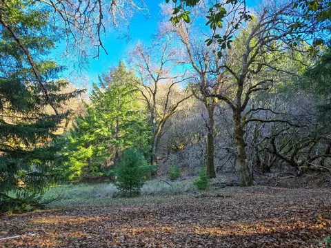 Exterior - 14950 Ridgeview Rd, Willits, CA 95490 photo 19 of 23