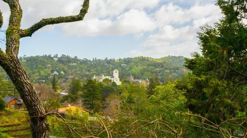 Other - 170 Oak Ave, San Anselmo, CA 94960 photo 16 of 21
