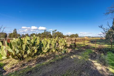 23400 Arnold Dr, Sonoma, CA 95476 photo 15