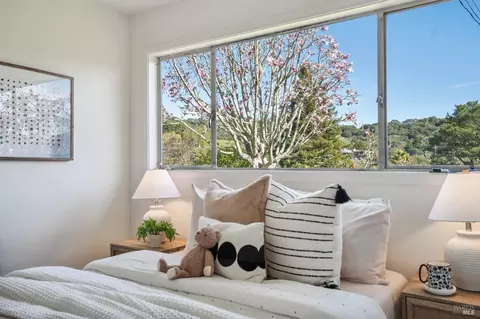 20 Stanton Way, Mill Valley, CA 94941 photo 35