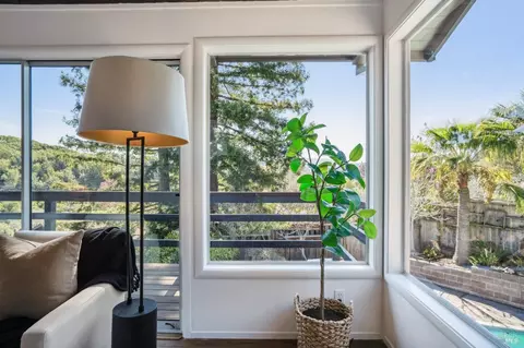 20 Stanton Way, Mill Valley, CA 94941 photo 25