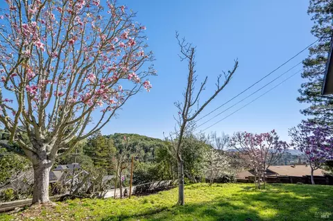 20 Stanton Way, Mill Valley, CA 94941 photo 45