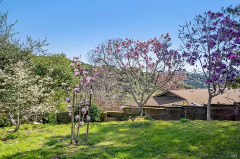 20 Stanton Way, Mill Valley, CA 94941 photo 44