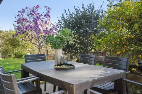 20 Stanton Way, Mill Valley, CA 94941 photo 42