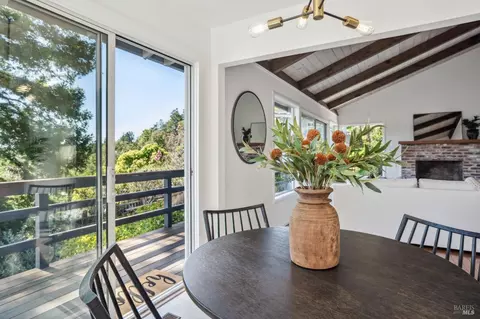 20 Stanton Way, Mill Valley, CA 94941 photo 22