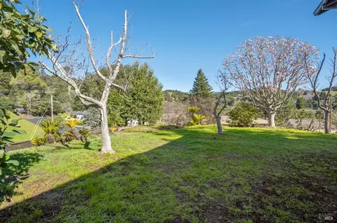 20 Stanton Way, Mill Valley, CA 94941 photo 46