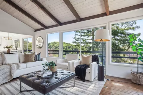 20 Stanton Way, Mill Valley, CA 94941 photo 26