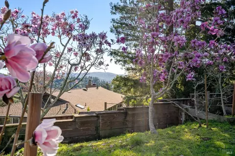20 Stanton Way, Mill Valley, CA 94941 photo 43