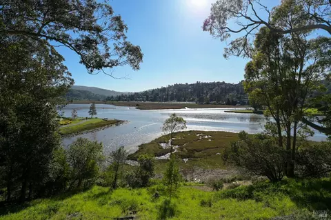 80 Eucalyptus Knoll St, Mill Valley, CA 94941