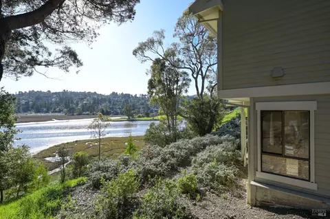 80 Eucalyptus Knoll St, Mill Valley, CA 94941 photo 20
