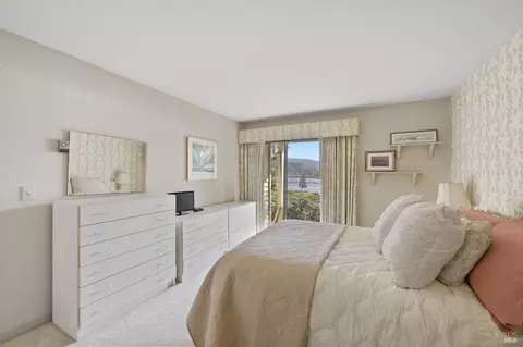80 Eucalyptus Knoll St, Mill Valley, CA 94941 photo 11