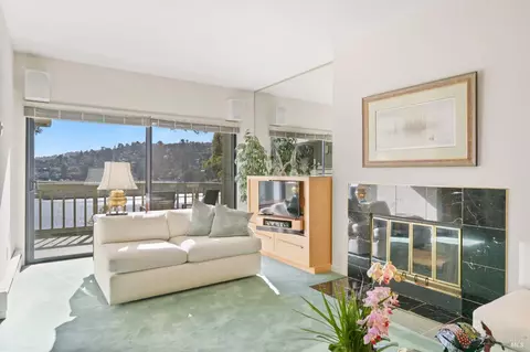 80 Eucalyptus Knoll St, Mill Valley, CA 94941 photo 5