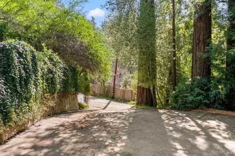 21 Lagunitas Rd, Lagunitas, CA 94938 photo 36