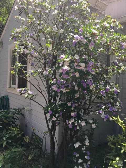 Exterior - 8580 Graton Rd, Sebastopol, CA 95472 photo 26 of 30