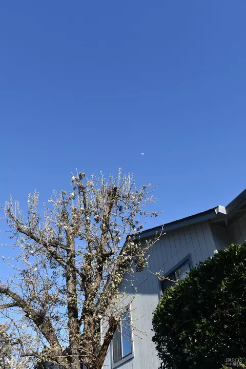 117 Elbridge Ave #E, Cloverdale, CA 95425 photo 8