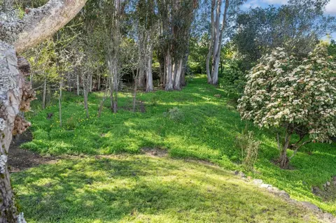 3 Azalea Dr, Mill Valley, CA 94941 photo 55