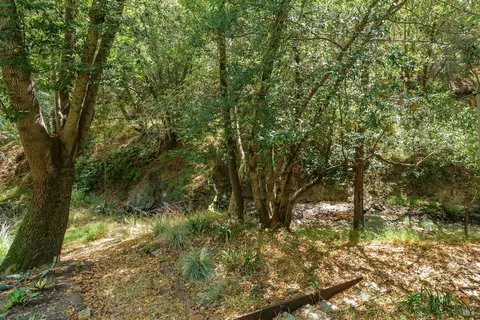 Exterior - 225 Cascade Dr, Fairfax, CA 94930 photo 29 of 35
