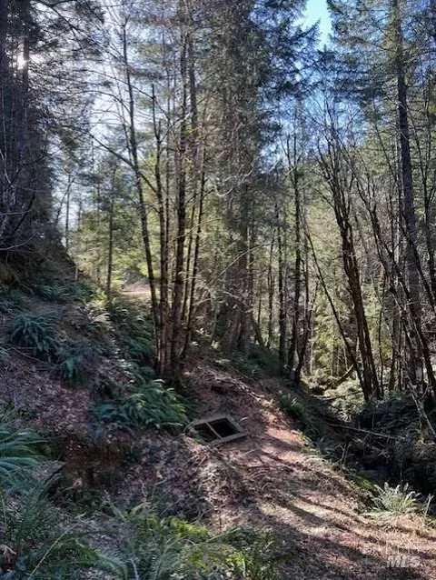 1 Highway 199, Crescent City, CA 95538