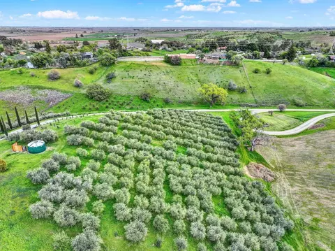 View/Area - 8349 Olive School Ln, Winters, CA 95694 photo 7 of 7