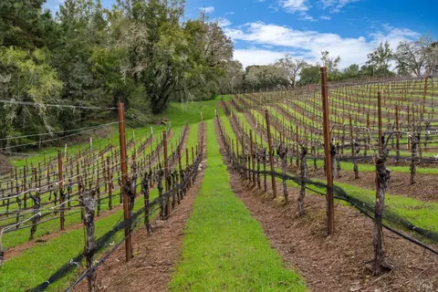 Other - 4630 Maddocks Rd, Sebastopol, CA 95472 photo 8 of 17