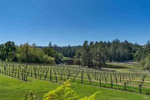 View/Area - 4630 Maddocks Rd, Sebastopol, CA 95472 photo 6 of 6