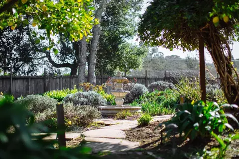 Exterior - 17850 Carriger Rd, Sonoma, CA 95476 photo 15 of 25