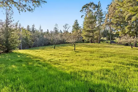 Exterior - 3651 Bones Rd, Sebastopol, CA 95472 photo 21 of 21