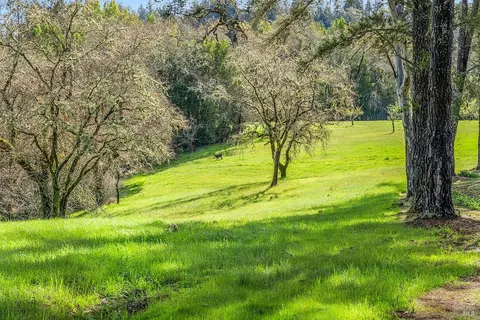 Exterior - 3651 Bones Rd, Sebastopol, CA 95472 photo 18 of 21