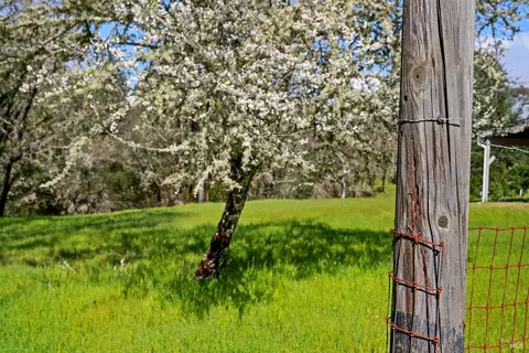 Exterior - 3651 Bones Rd, Sebastopol, CA 95472 photo 14 of 21
