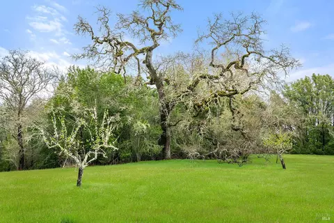 Exterior - 3651 Bones Rd, Sebastopol, CA 95472 photo 16 of 21