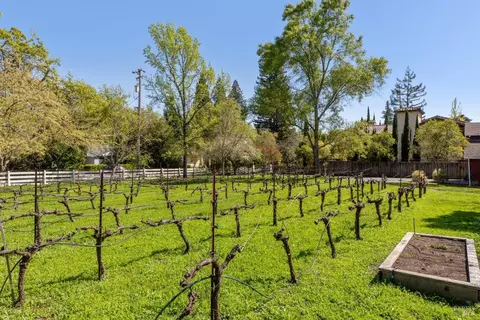 0 3rd St E, Sonoma, CA 95476 photo 2